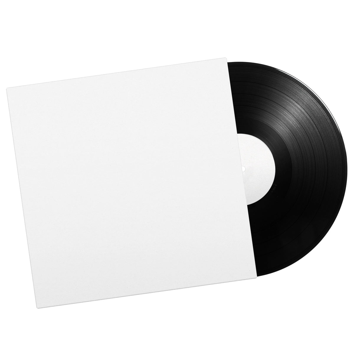 Vinyl – Zotanica